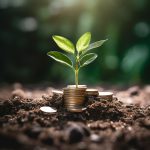 Money plant